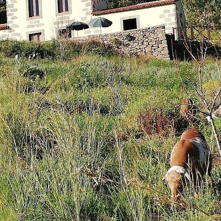 טרור Casa Rural Las Caldereras מראה חיצוני תמונה